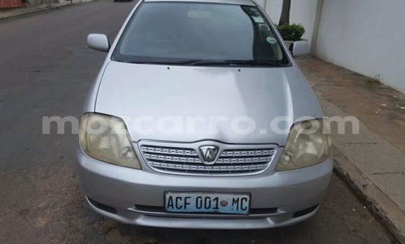 Buy Used Toyota Allex Silver Car in Ancuabe in Cabo Delgado Buy Used Toyota Allex Silver Car in Ancuabe in Cabo Delgado