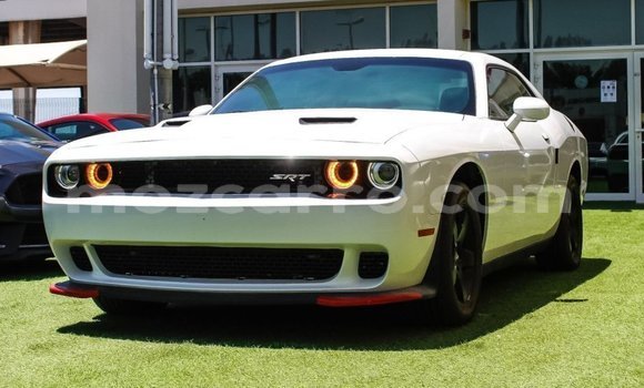 Comprar Importar Dodge Challenger Branco Carro em Import - Dubai em Cabo Delgado