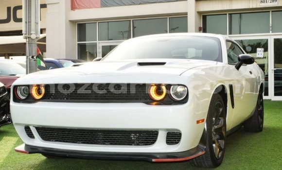 Comprar Importar Dodge Challenger Branco Carro em Import - Dubai em Cabo Delgado