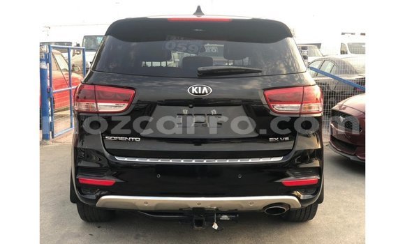 Buy Import Kia Sorento Black Car in Import - Dubai in Cabo Delgado Buy Import Kia Sorento Black Car in Import - Dubai in Cabo Delgado