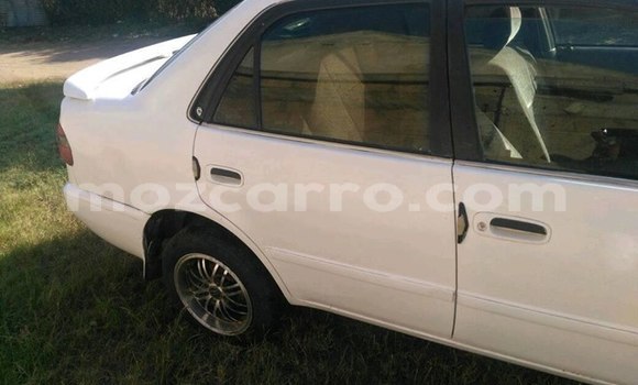 Tenga Tsaru Toyota Corolla Chena Mota in Maputo in Maputo Tenga Tsaru Toyota Corolla Chena Mota in Maputo in Maputo