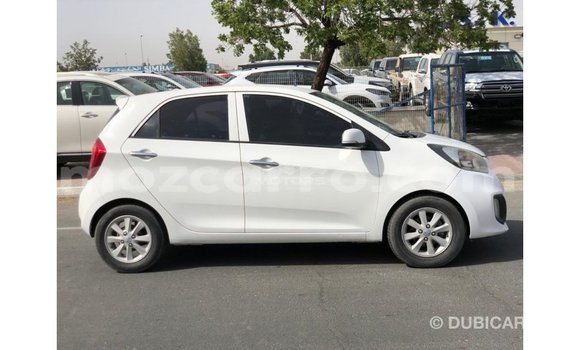 Buy Import Kia Picanto White Car in Import - Dubai in Cabo Delgado Buy Import Kia Picanto White Car in Import - Dubai in Cabo Delgado