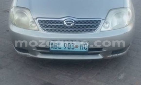 Buy Used Toyota Corolla Other Car in Maputo in Maputo Buy Used Toyota Corolla Other Car in Maputo in Maputo