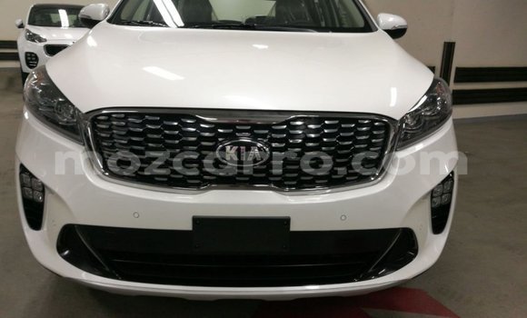 Buy Import Kia Sorento White Car in Import - Dubai in Cabo Delgado Buy Import Kia Sorento White Car in Import - Dubai in Cabo Delgado