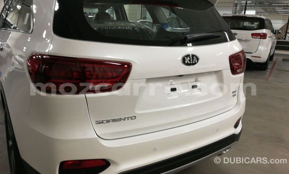 Buy Import Kia Sorento White Car in Import - Dubai in Cabo Delgado Buy Import Kia Sorento White Car in Import - Dubai in Cabo Delgado