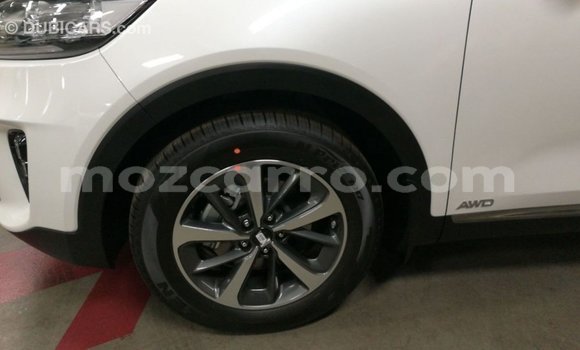 Buy Import Kia Sorento White Car in Import - Dubai in Cabo Delgado Buy Import Kia Sorento White Car in Import - Dubai in Cabo Delgado