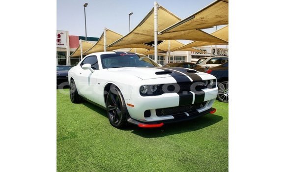 Comprar Importar Dodge Challenger Branco Carro em Import - Dubai em Cabo Delgado