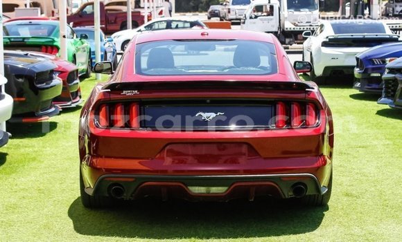 Tenga Imported Ford Mustang Tsvuku Mota in Import - Dubai in Cabo Delgado Tenga Imported Ford Mustang Tsvuku Mota in Import - Dubai in Cabo Delgado