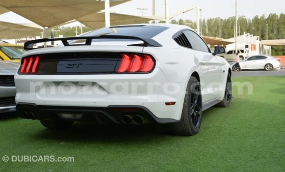Tenga Imported Ford Mustang Chena Mota in Import - Dubai in Cabo Delgado Tenga Imported Ford Mustang Chena Mota in Import - Dubai in Cabo Delgado