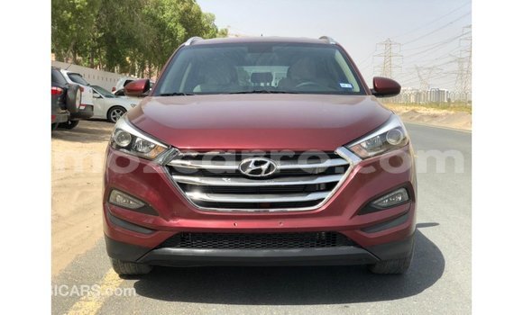 Buy Import Hyundai Tucson Red Car in Import - Dubai in Cabo Delgado Buy Import Hyundai Tucson Red Car in Import - Dubai in Cabo Delgado
