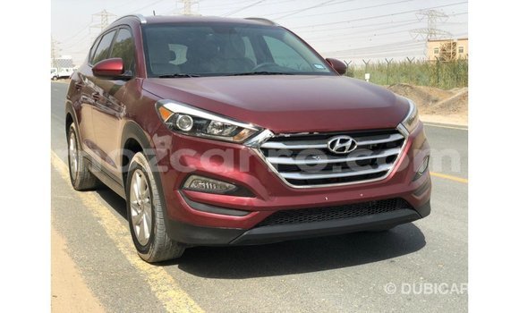 Buy Import Hyundai Tucson Red Car in Import - Dubai in Cabo Delgado Buy Import Hyundai Tucson Red Car in Import - Dubai in Cabo Delgado