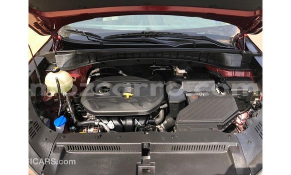 Buy Import Hyundai Tucson Red Car in Import - Dubai in Cabo Delgado Buy Import Hyundai Tucson Red Car in Import - Dubai in Cabo Delgado