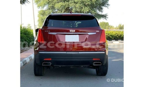 Tenga Imported Cadillac XT5 Tsvuku Mota in Import - Dubai in Cabo Delgado Tenga Imported Cadillac XT5 Tsvuku Mota in Import - Dubai in Cabo Delgado