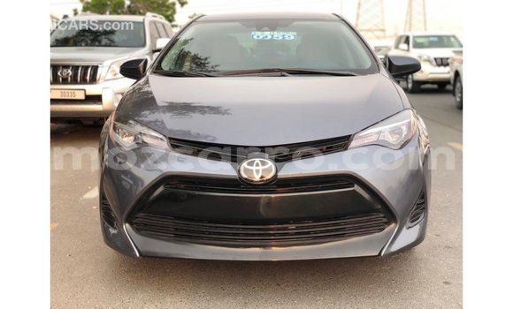 Buy Import Toyota Corolla Other Car in Import - Dubai in Cabo Delgado Buy Import Toyota Corolla Other Car in Import - Dubai in Cabo Delgado
