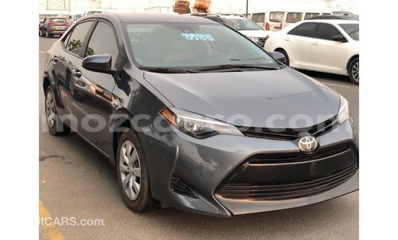 Buy Import Toyota Corolla Other Car in Import - Dubai in Cabo Delgado Buy Import Toyota Corolla Other Car in Import - Dubai in Cabo Delgado
