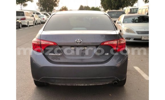 Buy Import Toyota Corolla Other Car in Import - Dubai in Cabo Delgado Buy Import Toyota Corolla Other Car in Import - Dubai in Cabo Delgado