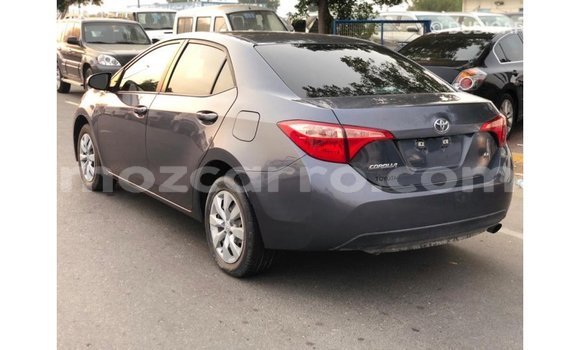 Buy Import Toyota Corolla Other Car in Import - Dubai in Cabo Delgado Buy Import Toyota Corolla Other Car in Import - Dubai in Cabo Delgado