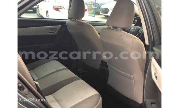 Buy Import Toyota Corolla Other Car in Import - Dubai in Cabo Delgado Buy Import Toyota Corolla Other Car in Import - Dubai in Cabo Delgado