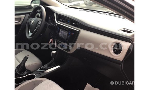 Buy Import Toyota Corolla Other Car in Import - Dubai in Cabo Delgado Buy Import Toyota Corolla Other Car in Import - Dubai in Cabo Delgado