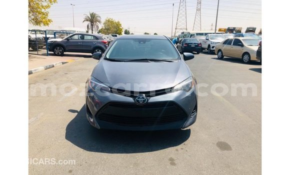 Buy Import Toyota Corolla Other Car in Import - Dubai in Cabo Delgado Buy Import Toyota Corolla Other Car in Import - Dubai in Cabo Delgado