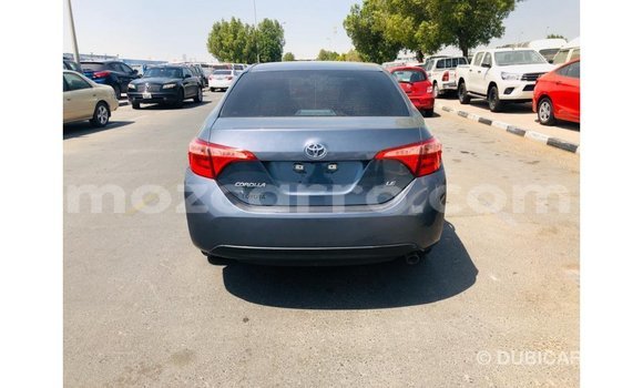 Buy Import Toyota Corolla Other Car in Import - Dubai in Cabo Delgado Buy Import Toyota Corolla Other Car in Import - Dubai in Cabo Delgado