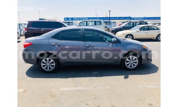 Buy Import Toyota Corolla Other Car in Import - Dubai in Cabo Delgado Buy Import Toyota Corolla Other Car in Import - Dubai in Cabo Delgado