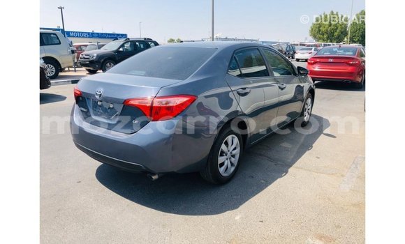 Buy Import Toyota Corolla Other Car in Import - Dubai in Cabo Delgado Buy Import Toyota Corolla Other Car in Import - Dubai in Cabo Delgado