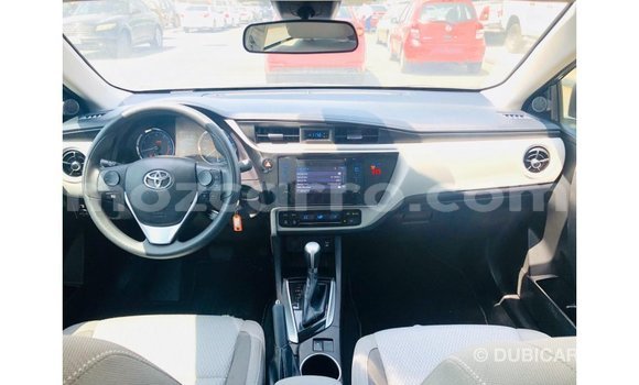 Buy Import Toyota Corolla Other Car in Import - Dubai in Cabo Delgado Buy Import Toyota Corolla Other Car in Import - Dubai in Cabo Delgado