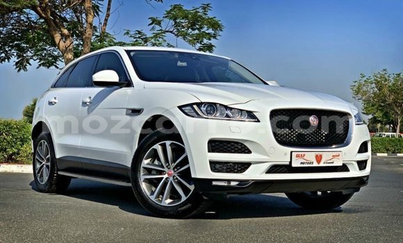 Comprar Importar Jaguar F-Pace Branco Carro em Import - Dubai em Cabo Delgado