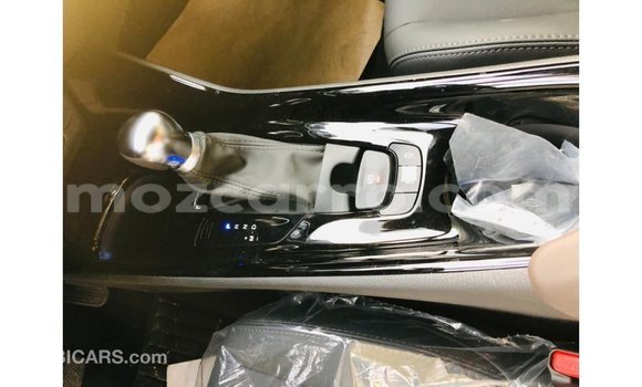 Buy Import Toyota C-HR Other Car in Import - Dubai in Cabo Delgado Buy Import Toyota C-HR Other Car in Import - Dubai in Cabo Delgado