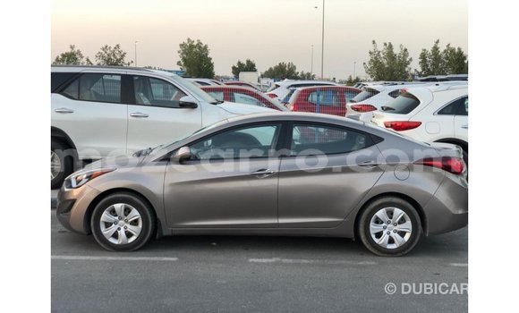 Buy Import Hyundai Elantra Brown Car in Import - Dubai in Cabo Delgado Buy Import Hyundai Elantra Brown Car in Import - Dubai in Cabo Delgado