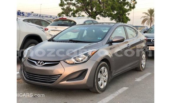 Buy Import Hyundai Elantra Brown Car in Import - Dubai in Cabo Delgado Buy Import Hyundai Elantra Brown Car in Import - Dubai in Cabo Delgado