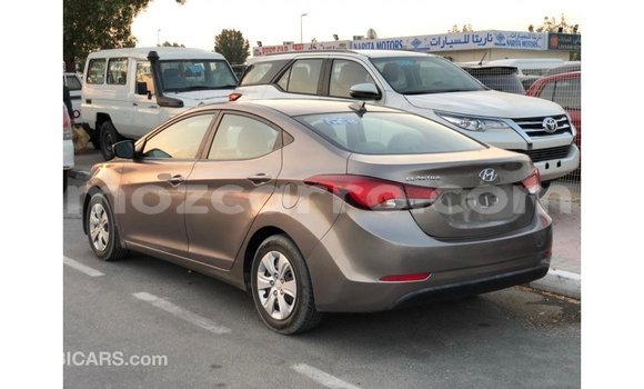 Buy Import Hyundai Elantra Brown Car in Import - Dubai in Cabo Delgado Buy Import Hyundai Elantra Brown Car in Import - Dubai in Cabo Delgado