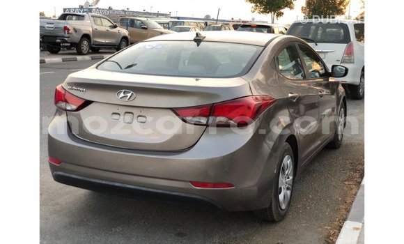 Buy Import Hyundai Elantra Brown Car in Import - Dubai in Cabo Delgado Buy Import Hyundai Elantra Brown Car in Import - Dubai in Cabo Delgado
