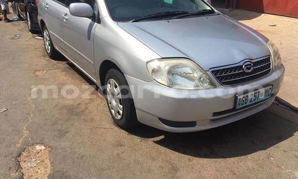 Tenga Tsaru Toyota Corolla Sirivha Mota in Maputo in Maputo Tenga Tsaru Toyota Corolla Sirivha Mota in Maputo in Maputo