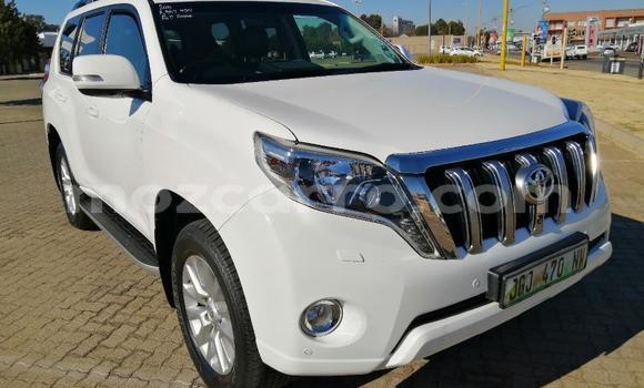 Comprar Usado Toyota Land Cruiser Prado Branco Carro em Maputo em Maputo Comprar Usado Toyota Land Cruiser Prado Branco Carro em Maputo em Maputo