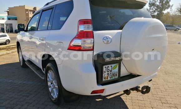 Comprar Usado Toyota Land Cruiser Prado Branco Carro em Maputo em Maputo Comprar Usado Toyota Land Cruiser Prado Branco Carro em Maputo em Maputo