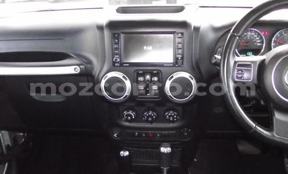 Tenga Tsaru Jeep Wrangler Sirivha Mota in Balama in Cabo Delgado Tenga Tsaru Jeep Wrangler Sirivha Mota in Balama in Cabo Delgado